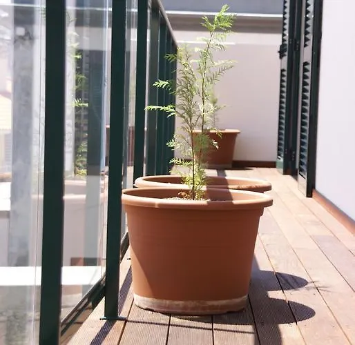 Carvalhal Old Town *