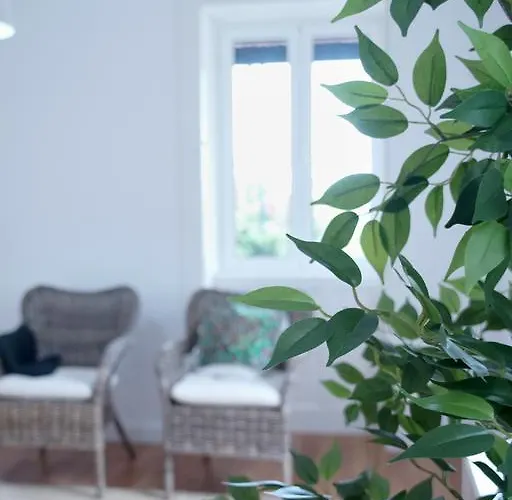 Carvalhal Old Town Funchal (Madeira)