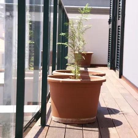 Carvalhal Old Town *